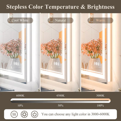 Chrisna Front and Backlit LED Bathroom Vanity Mirror